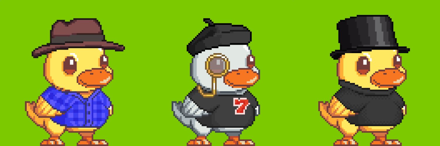 Ordinal Ducks banner