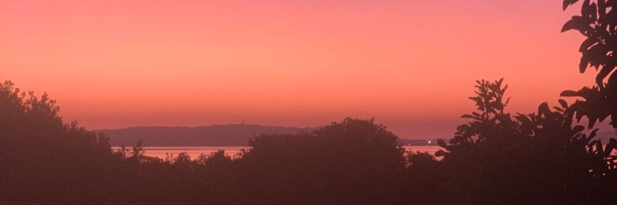 Mano_Miza's profile banner image