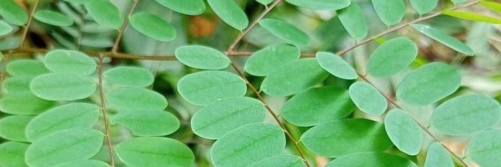 RudyyyyyyE's profile banner image