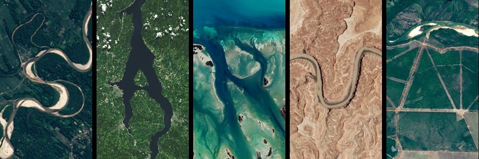 Särun || Everyone pilled banner