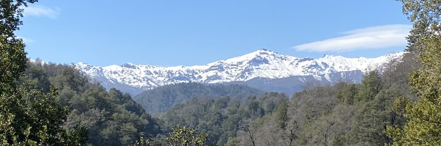 zurda_andy's profile banner image