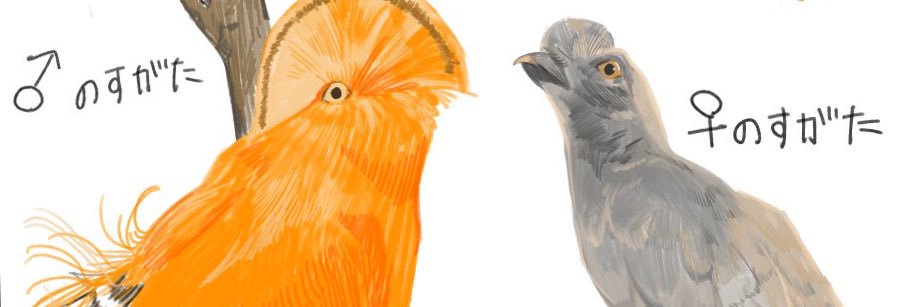 BEBENIAN's profile banner image
