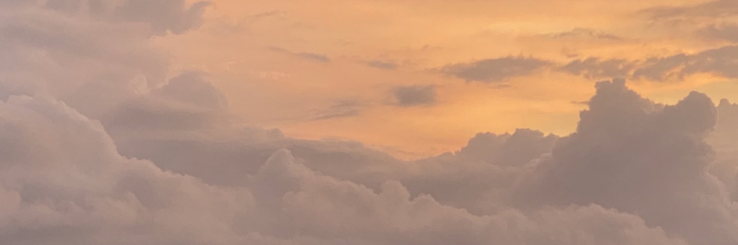 ElizabethMinett's profile banner image