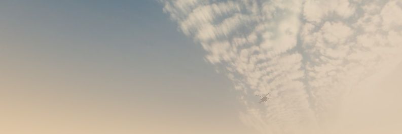 Ran. :P banner