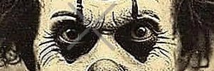 Crypto Sjaki banner
