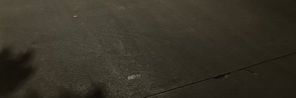 demure_____ Profile Banner