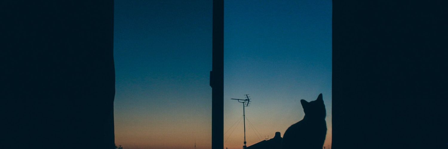 レプ banner