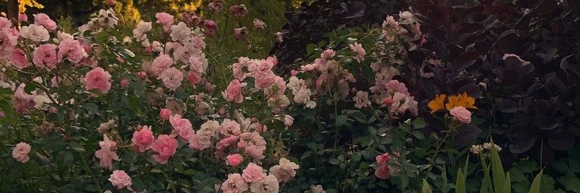 indrabs72's profile banner image