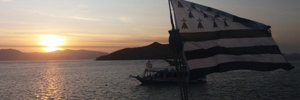 Dams_F Profile Banner