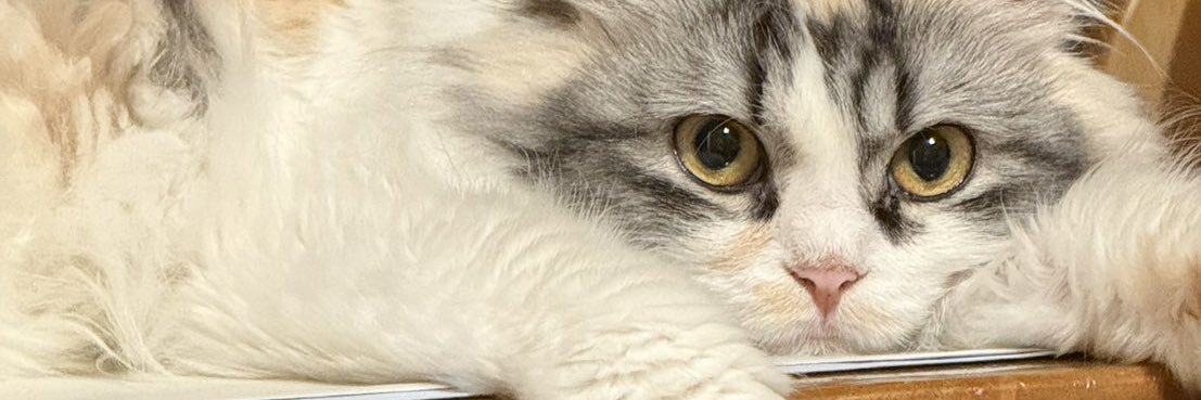 im002cha's profile banner image