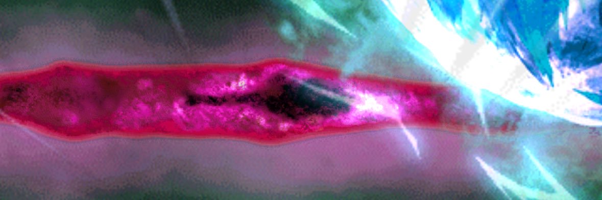 TOK0637's profile banner image