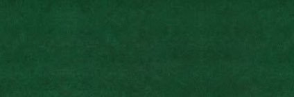 nine banner