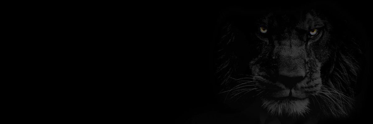 enesaggn's profile banner image