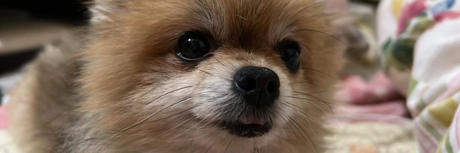 xxikeres's profile banner image