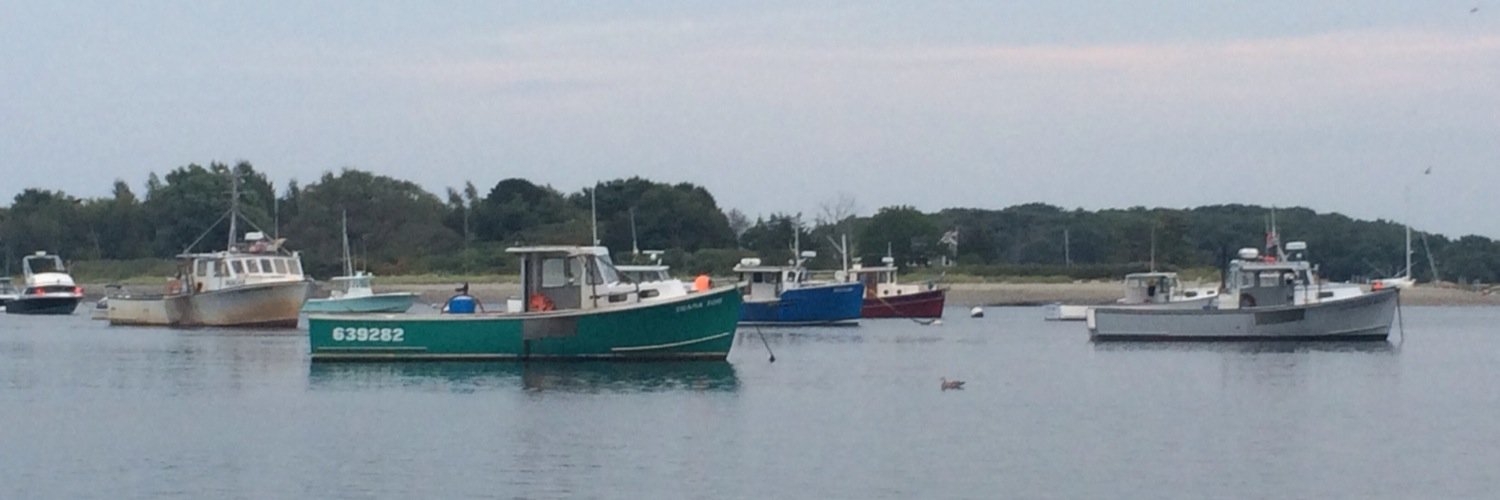 jennifer Knowles banner