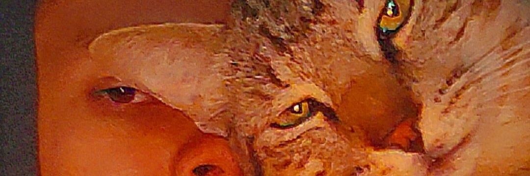MattMatthewP's profile banner image