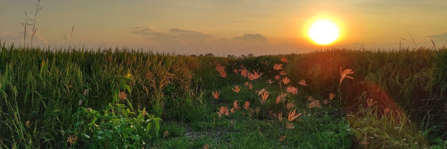 Rattanaphol.ch banner