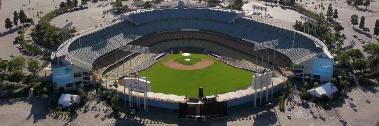 PolyParrotBaseball banner