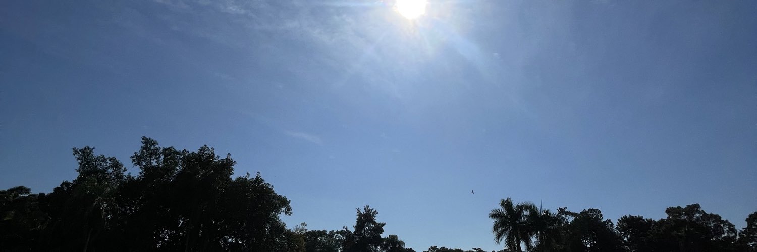 capissulin's profile banner image