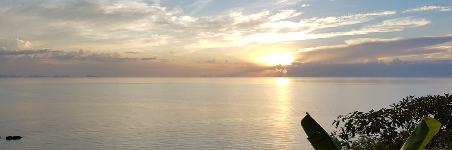 MomoHunting's profile banner image