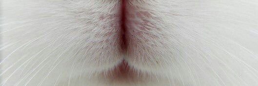 py0___n's profile banner image