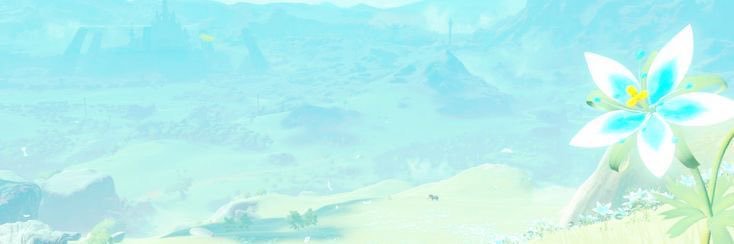 BunnyofHyrule's profile banner image