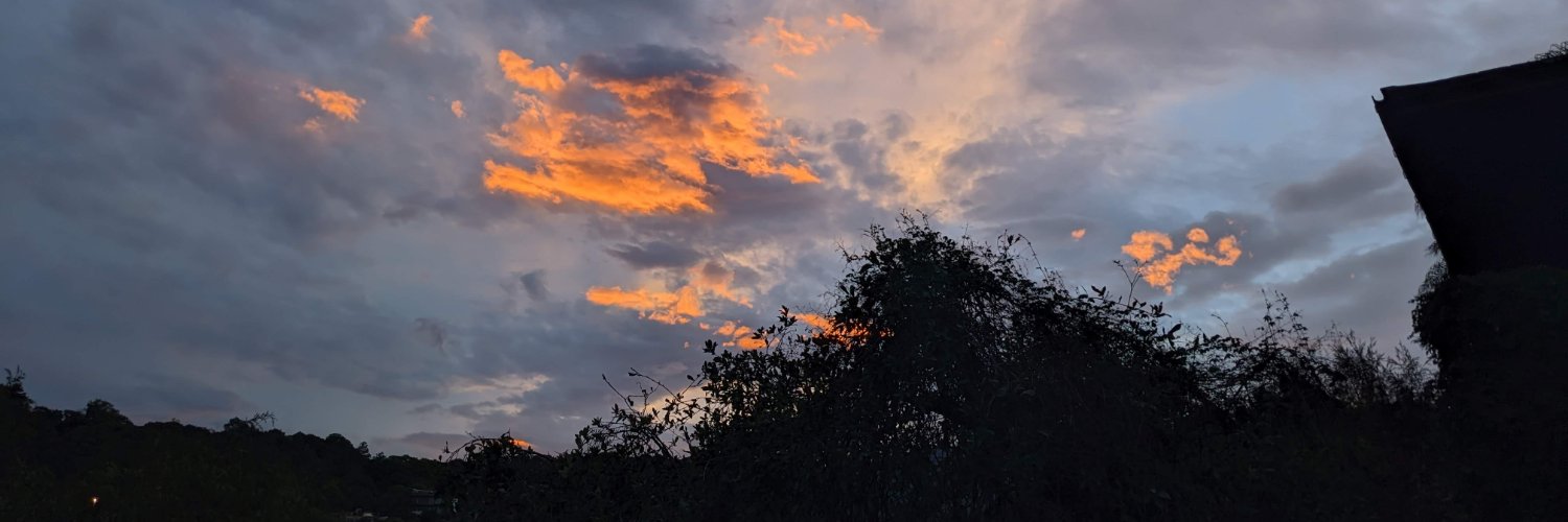 Waamiz's profile banner image