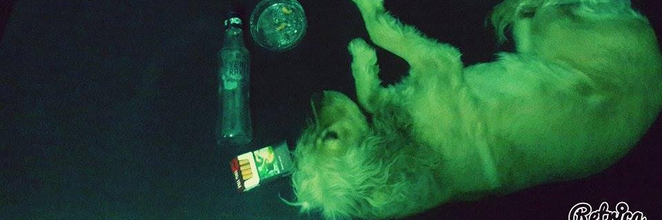 emredenli48's profile banner image