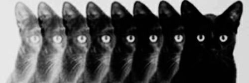 xHayleyK's profile banner image