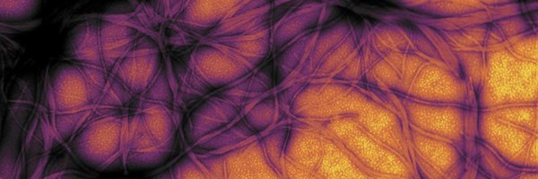 ASBMB Profile Banner