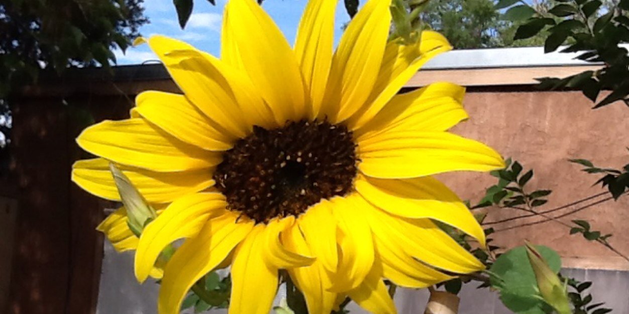MantraToday's profile banner image