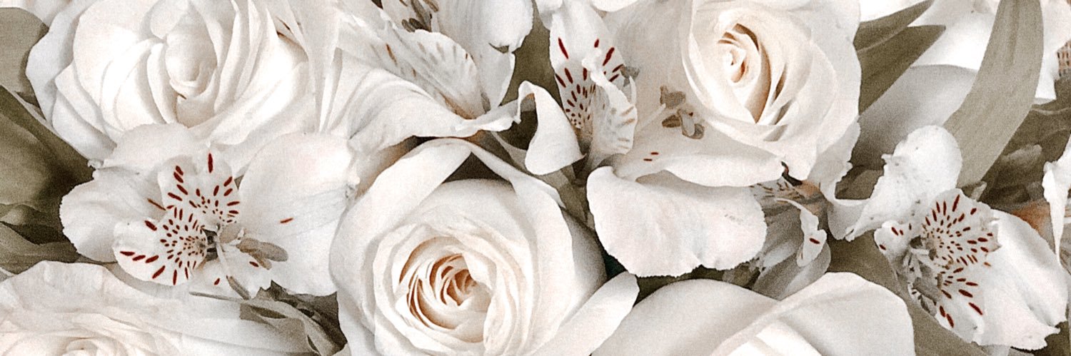 andreacarrancov's profile banner image