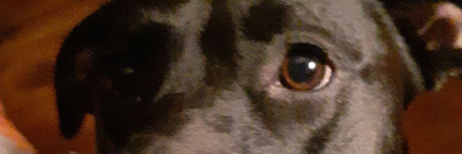 Drj1962's profile banner image