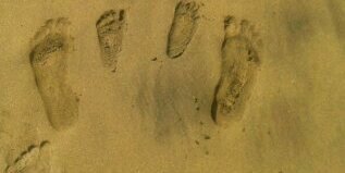 David Marrero banner