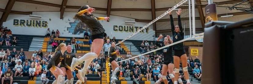 Talyn Hoffert banner