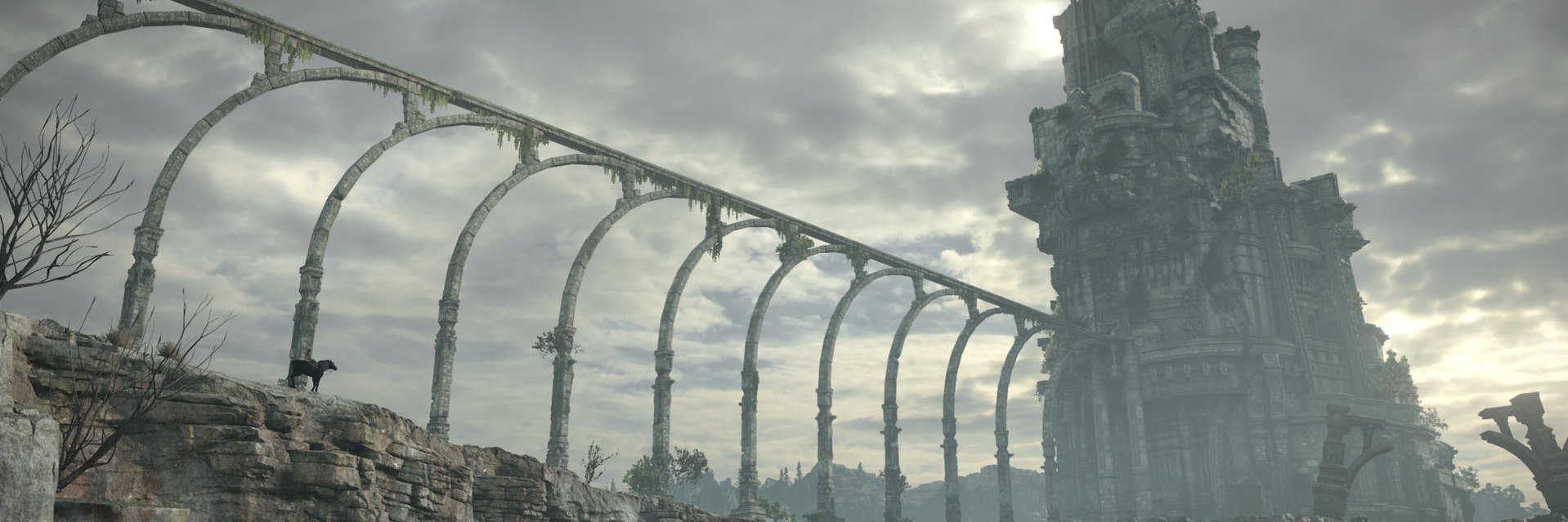 TUFCfan's profile banner image