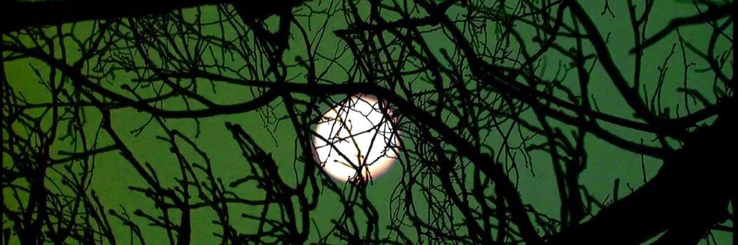 ♌︎ moon222 banner