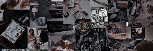 iris_studs Profile Banner