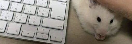limkhlife's profile banner image