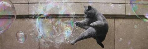 ricgueca's profile banner image