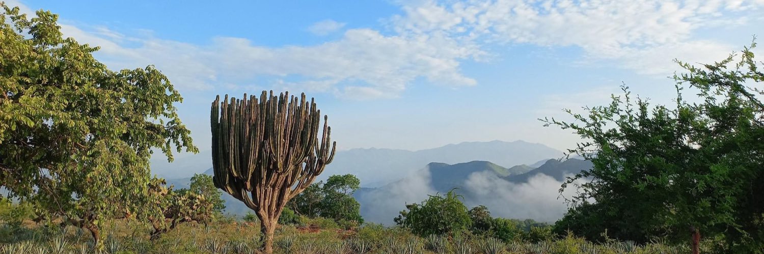 nelisa4's profile banner image