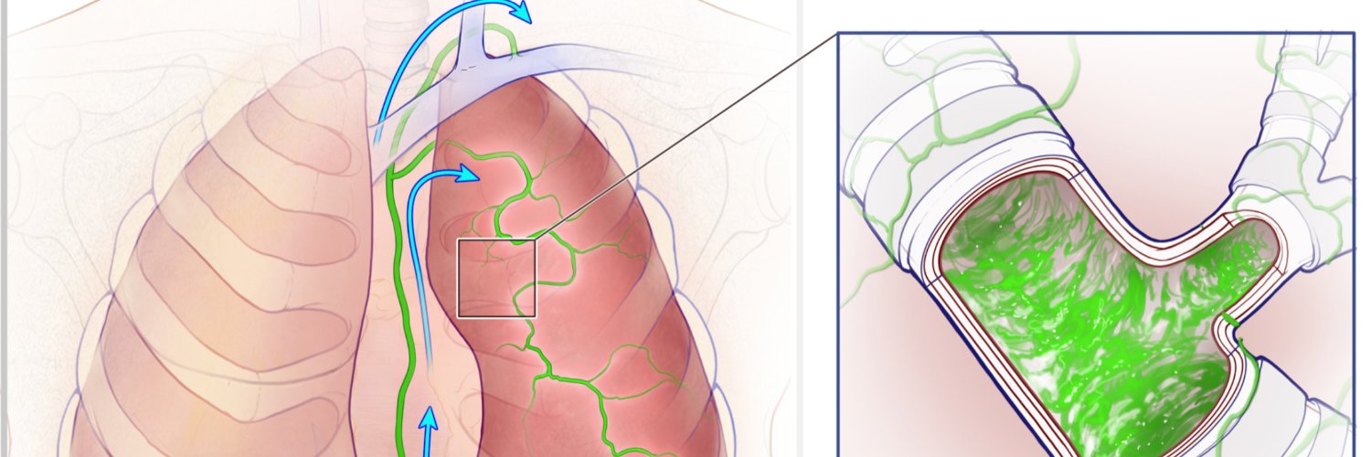 Maxim Itkin MD banner