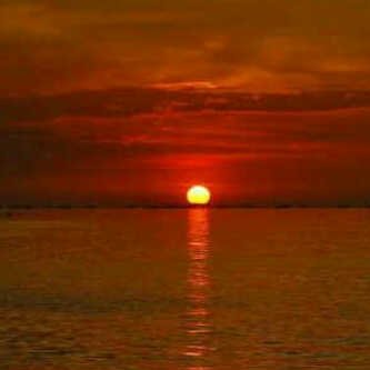 gsurya_s's profile banner image