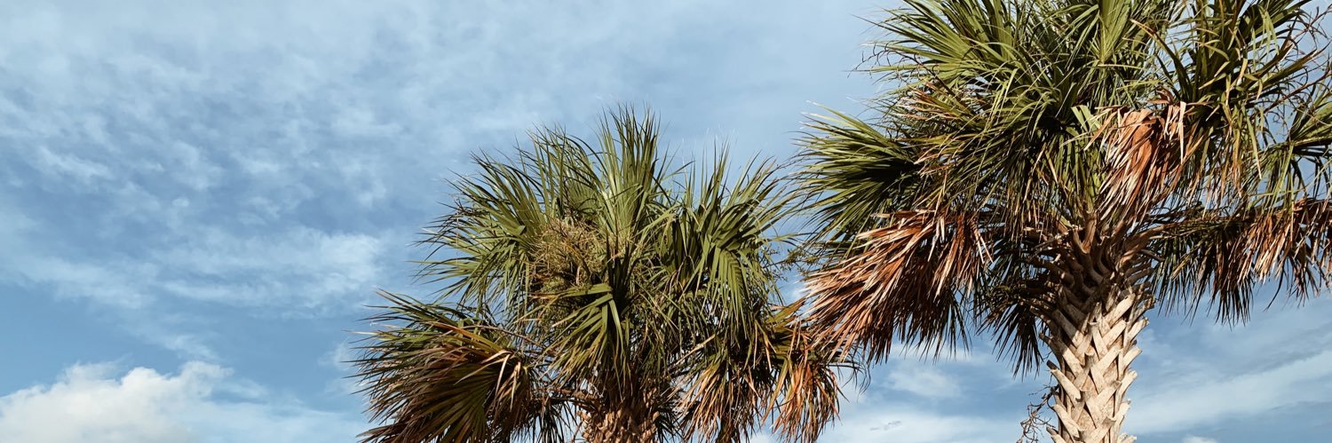 BaileyIngalla's profile banner image