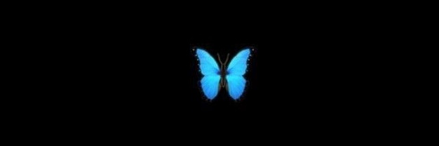 🦋 banner