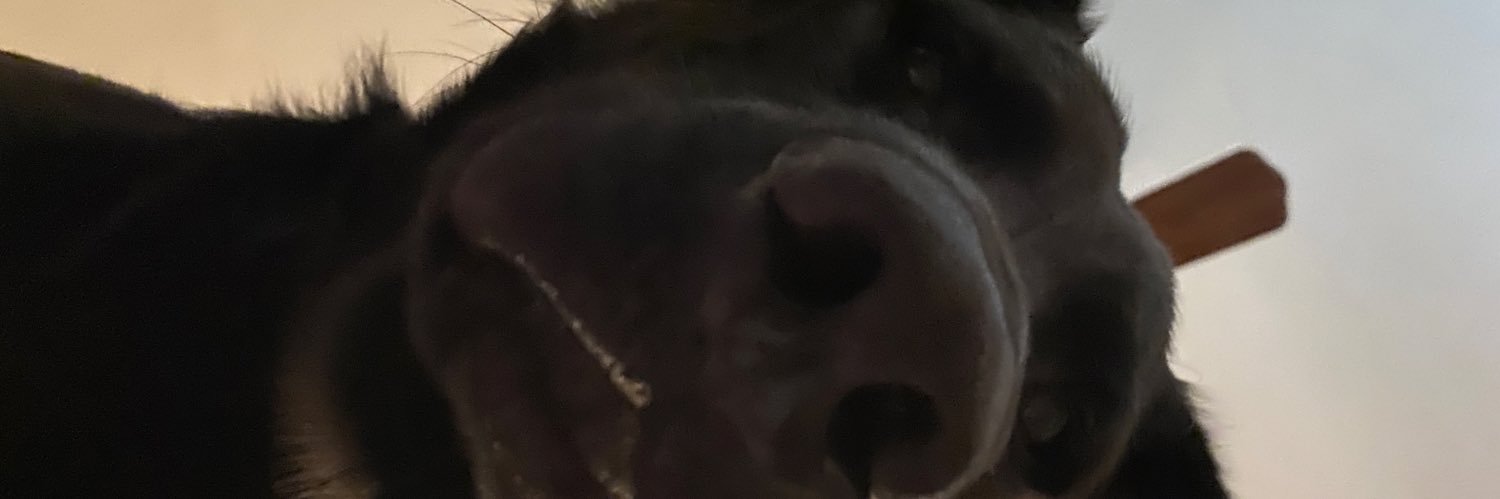 ramennG_'s profile banner image