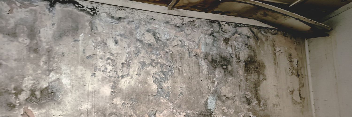 pinnkbloom's profile banner image