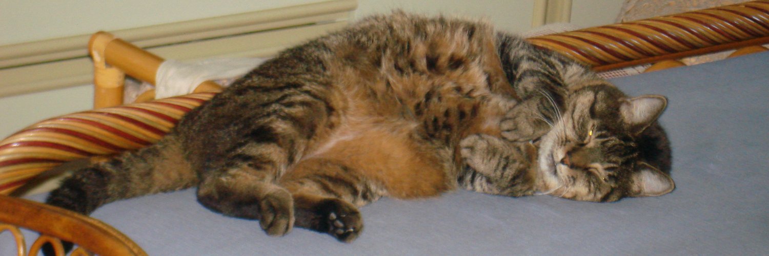 crazyCatMan's banner
