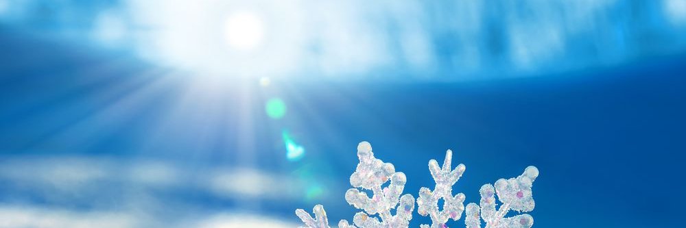SnowToken banner