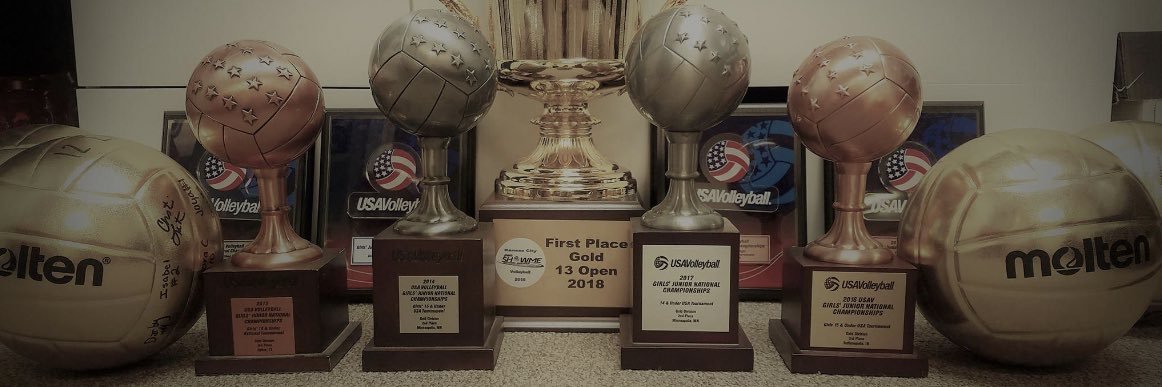 PVA Volleyball banner